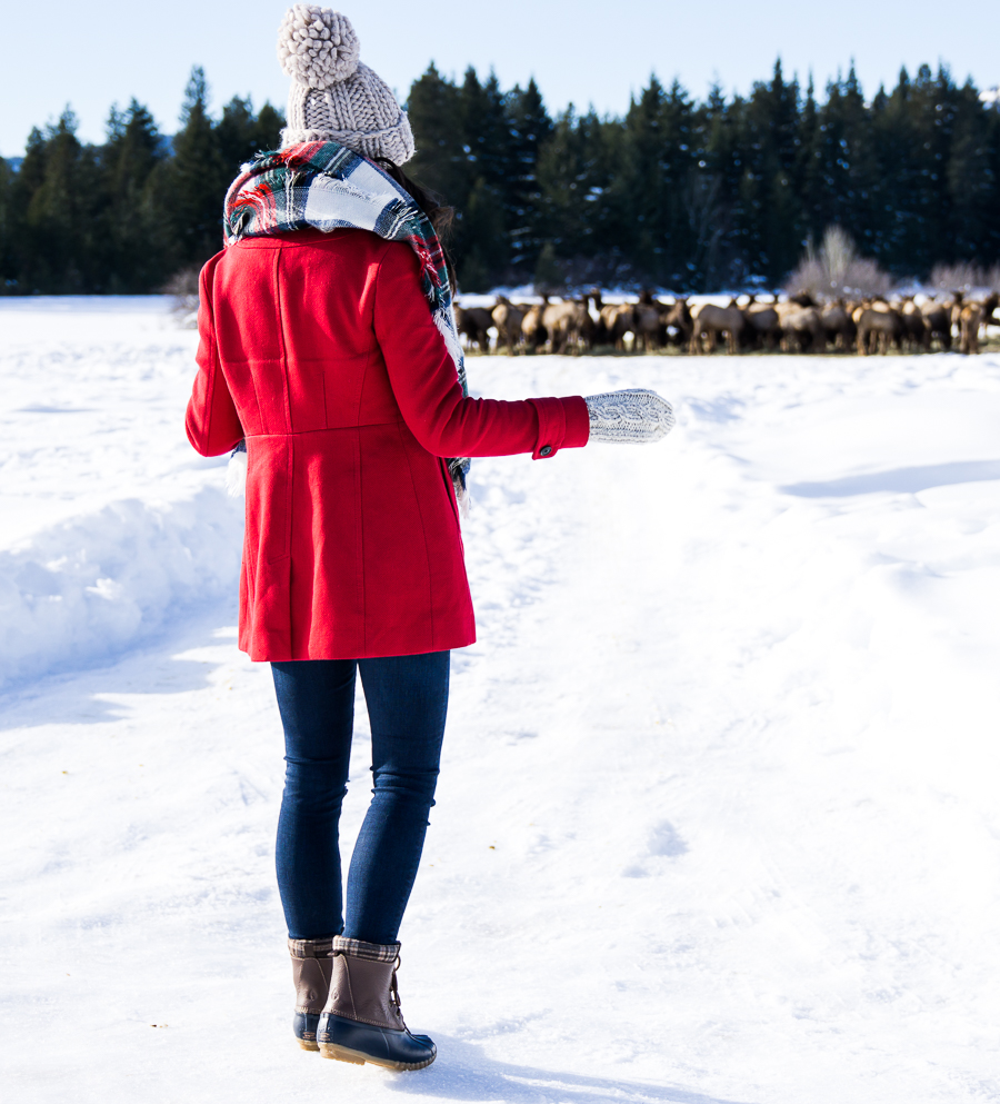 How to make duck boots look cute, plaid blanket scarf, pom pom beanie, cute winter outfit, petite fashion blog, Suncadia elk feeding