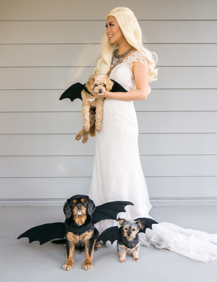 No sew DIY dragon dog costume, DIY Daenerys Targaryen costume, Daenerys Targaryen blonde wig, Mother of Dragons costume, Game of Thrones Halloween costume