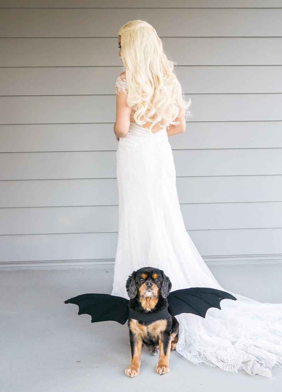 No sew DIY dragon dog costume, DIY Daenerys Targaryen costume, Daenerys Targaryen blonde wig, Mother of Dragons costume, Game of Thrones Halloween costume